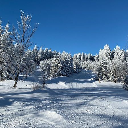 Aktiv-Ferienwohnung "Snow & Bike"- Zentral Zwischen Winterberg Und Willingen Kültér fotó