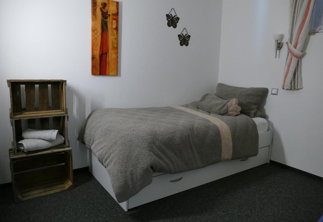 Aktiv-Ferienwohnung "Snow & Bike"- Zentral Zwischen Winterberg Und Willingen Kültér fotó