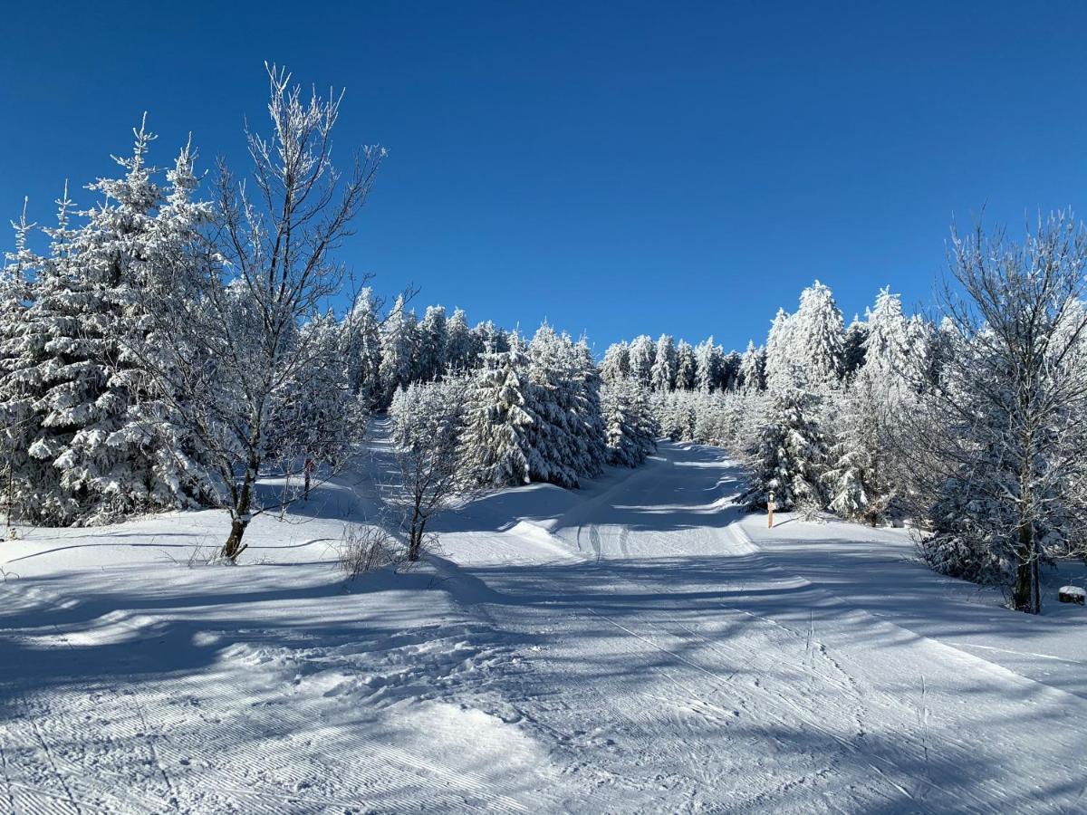 Aktiv-Ferienwohnung "Snow & Bike"- Zentral Zwischen Winterberg Und Willingen Kültér fotó