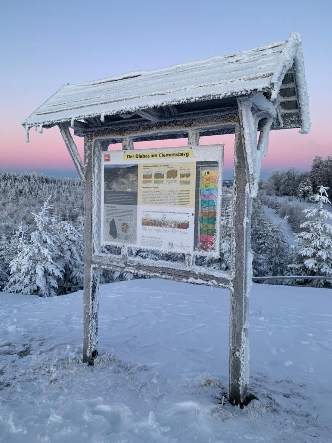 Aktiv-Ferienwohnung "Snow & Bike"- Zentral Zwischen Winterberg Und Willingen Kültér fotó